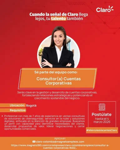 consultor