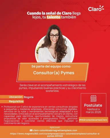 consultor pymes