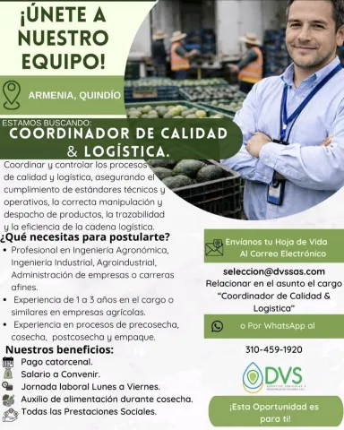 coordinador de calidad y logistica