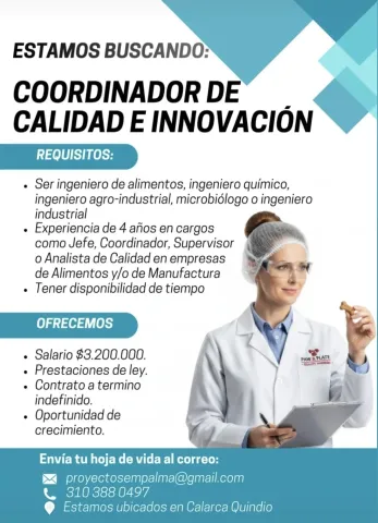 coordinador de calidad e innovación
