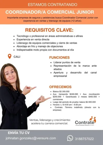 coordinador comercial junior