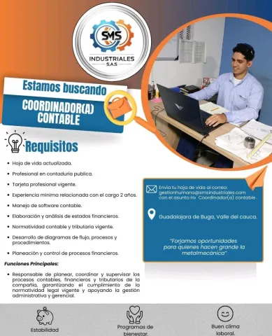 coordinador contable