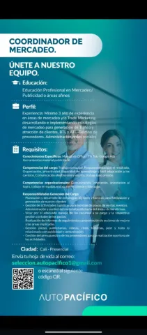 coordinador de mercadeo cali