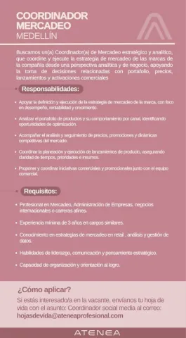 coordinador de mercadeo