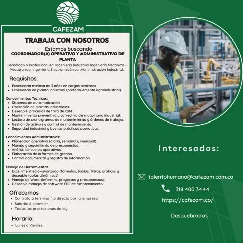 coordinador operativo