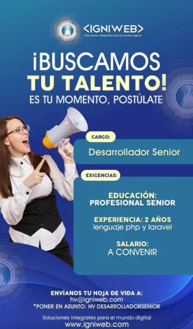 desarrollador senior