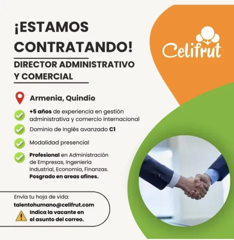 director administrativo