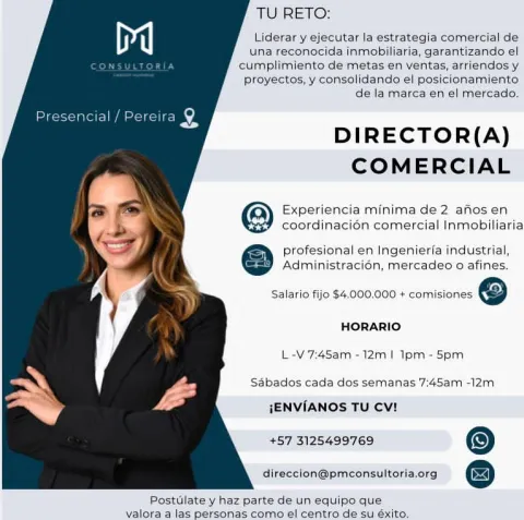 director comercial