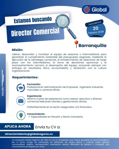 director comercial