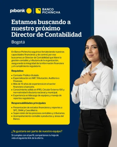 director de contabilidad