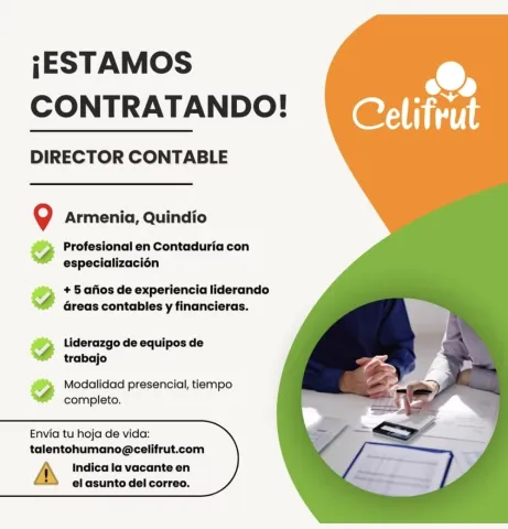 director contable
