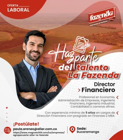 director financiero fazenda