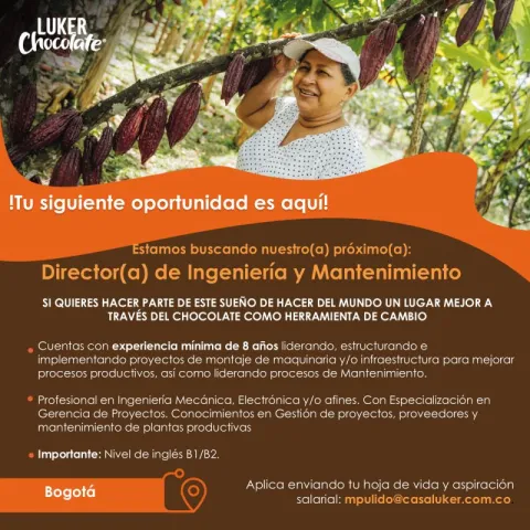 director de ingenieria y mantenimiento