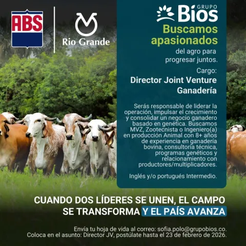 director joint venture