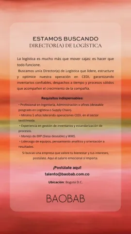 director de logistica