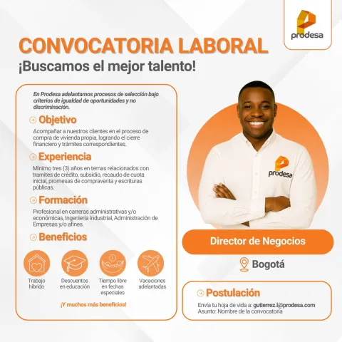 director de negocios