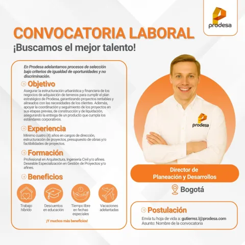 director de planeación