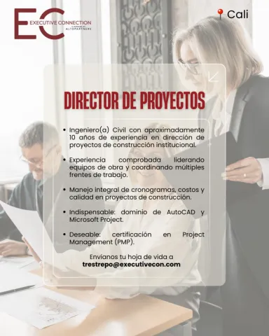 director de proyectos