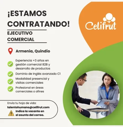 ejecutivo comercial