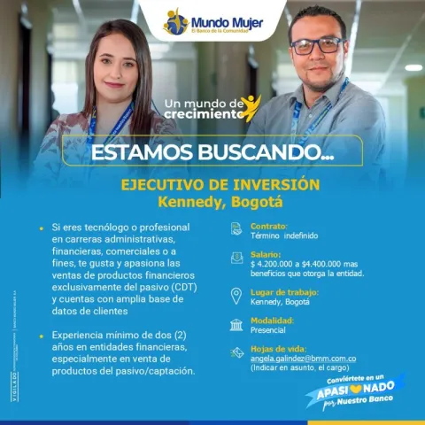 ejecutivo inversión