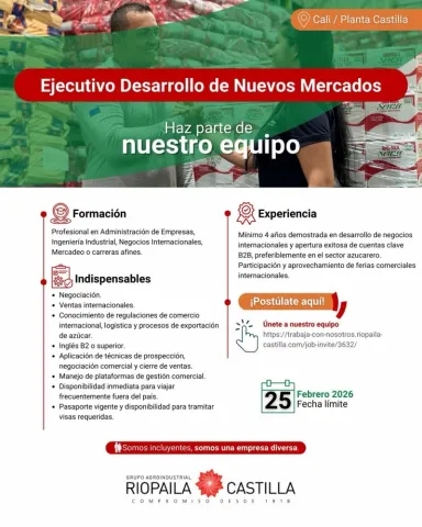 ejecutivo de nuevos mercados