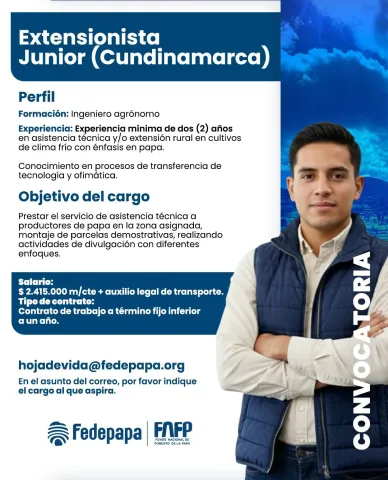 Extensionista junior
