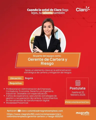 gerente de cartera y riesgo
