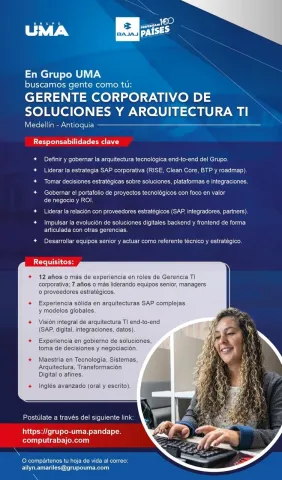 gerente corporativo de soluciones