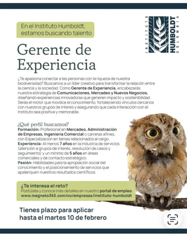 gerente de experiencia