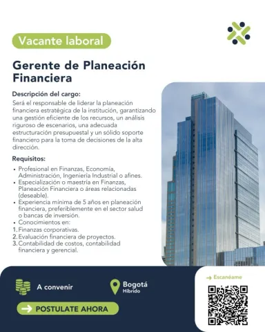 gerente planeación financiera
