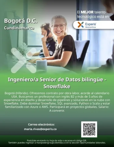 ingeniero senior datos