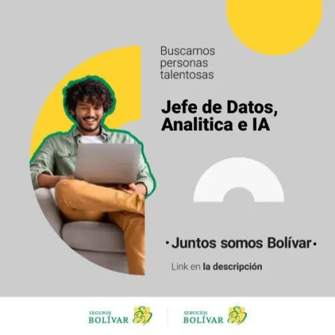 jefe de datos y analítica