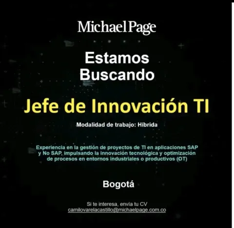 jefe de innovación TI