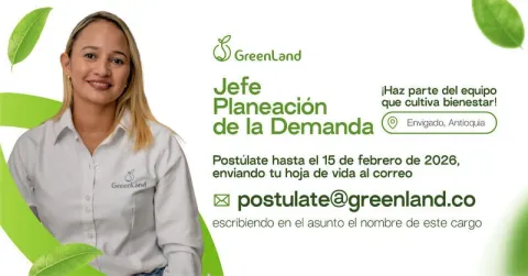 jefe de planeación demanda