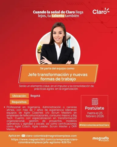 jefe de transformación