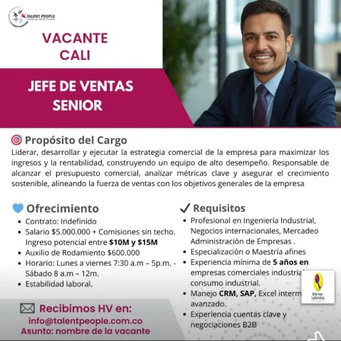 jefe de ventas senior