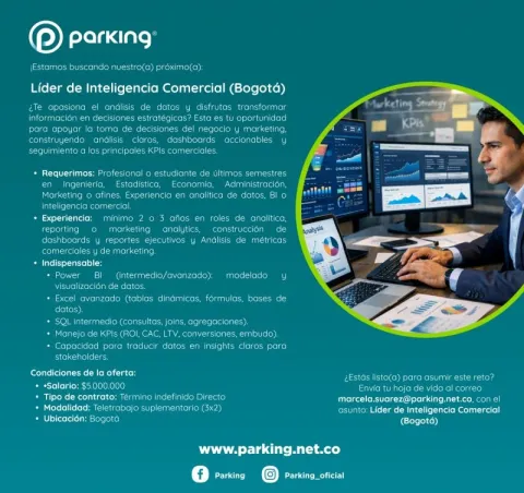 lider de inteligencia comercial