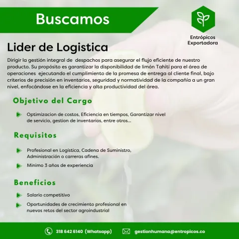 lider de logistica