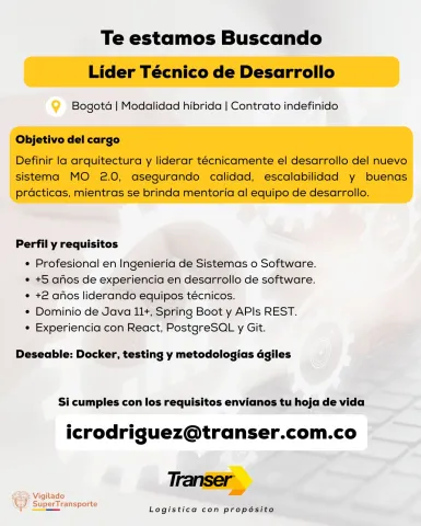 lider tecnico software