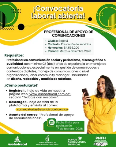 profesional comunicaciones