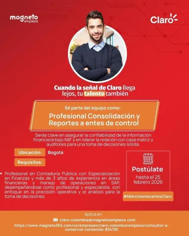 profesional consolidación