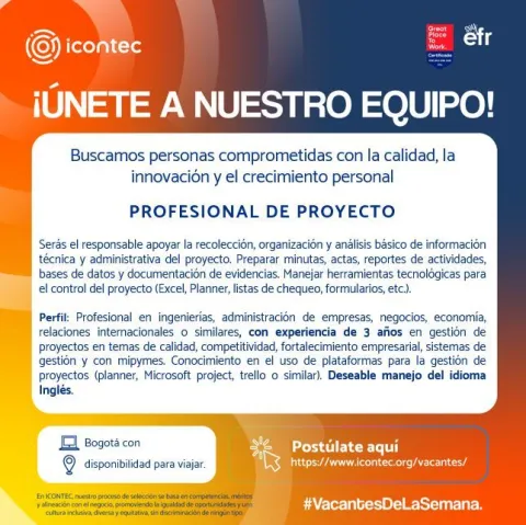 profesional de proyecto