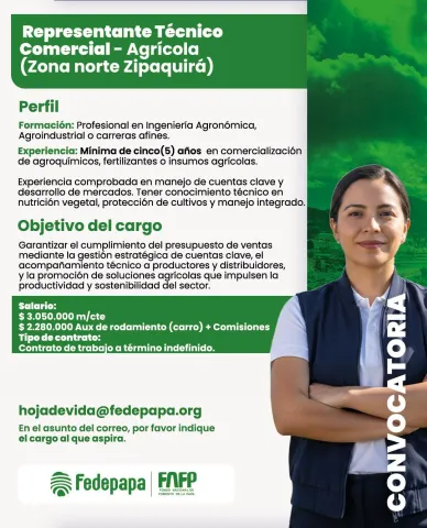 representante técnico