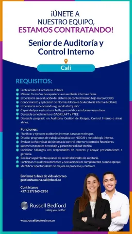 senior auditoría