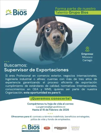 supervisor de exportaciones