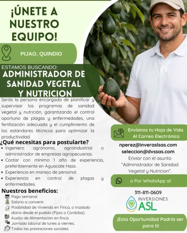 administrador