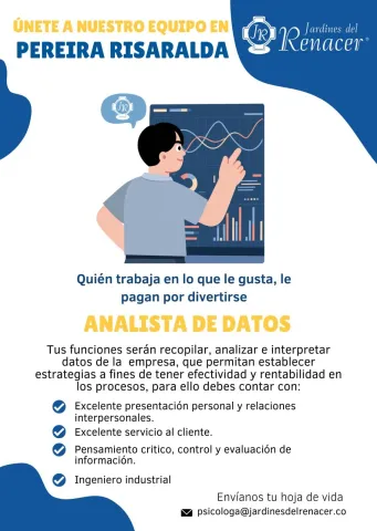 analista de datos