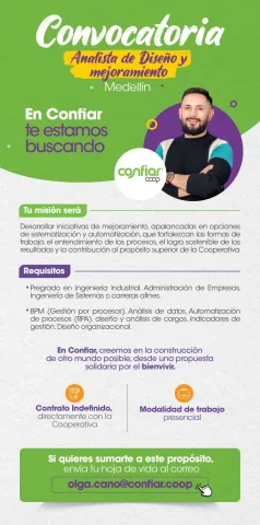 analista de diseño y mejoramiento