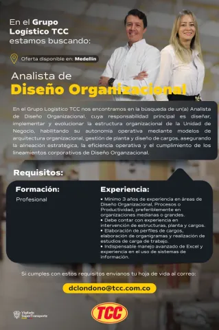 analista diseño organizacional