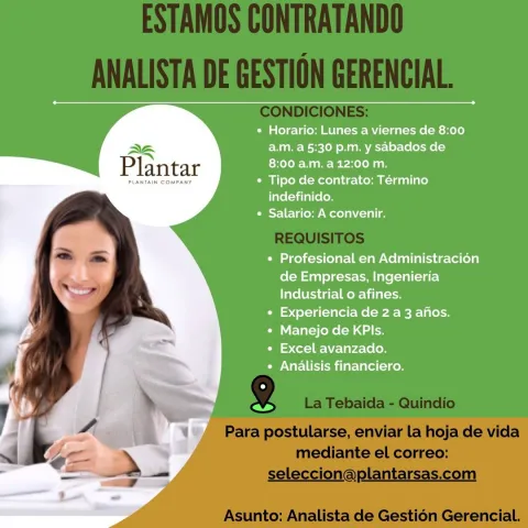 analista gestión gerencial